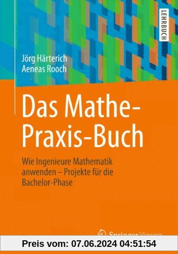 Das Mathe-Praxis-Buch: Wie Ingenieure Mathematik anwenden - Projekte für die Bachelor-Phase (Springer-Lehrbuch)